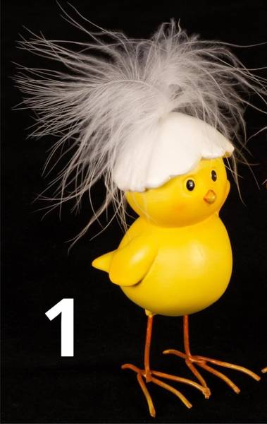 Påskekyllinger